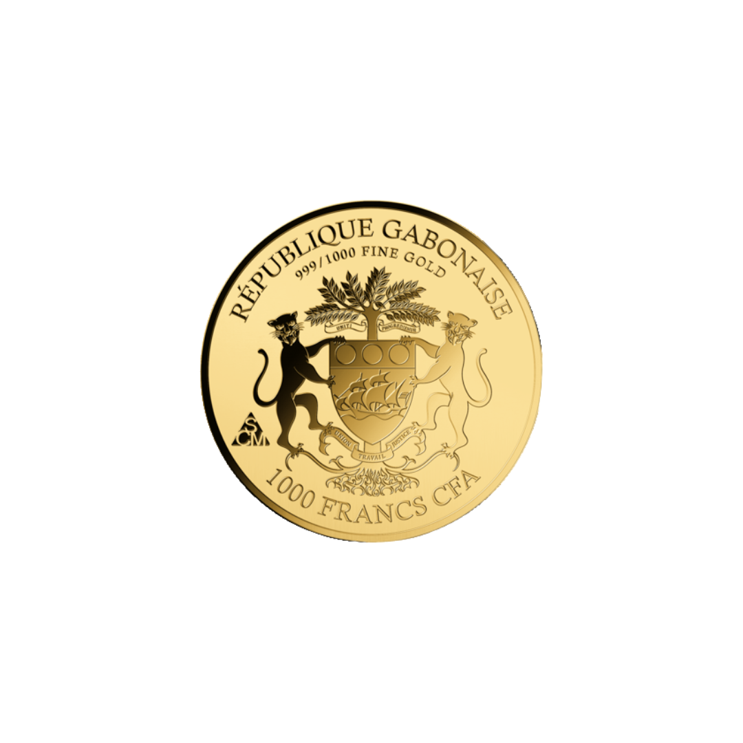 Koala Coin Card - Gold Gift