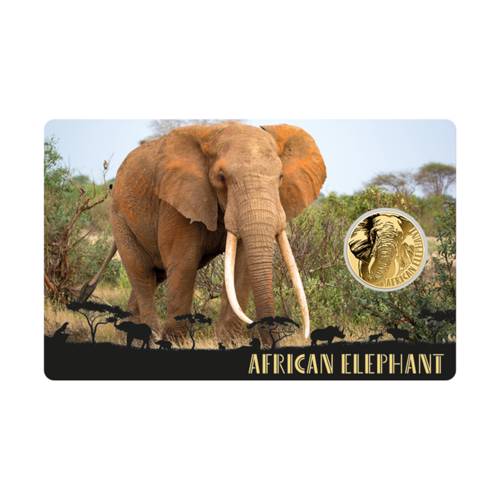 African Elephant Coin Card - Gold Gift
