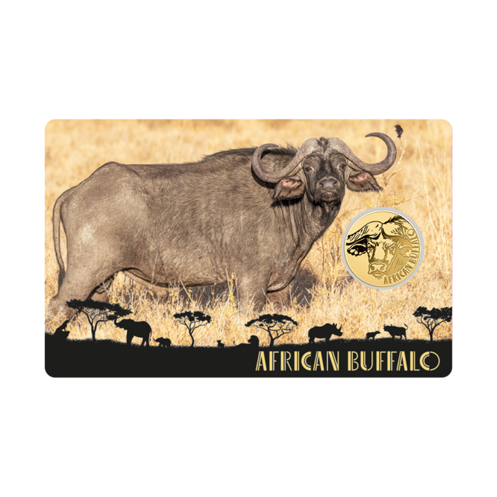 African Buffalo Coin Card - Gold Gift